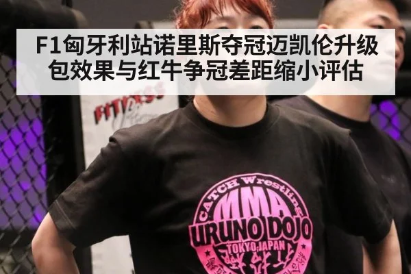 F1匈牙利站诺里斯夺冠迈凯伦升级包效果与红牛争冠差距缩小评估