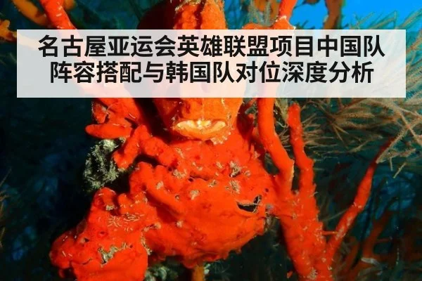 名古屋亚运会英雄联盟项目中国队阵容搭配与韩国队对位深度分析